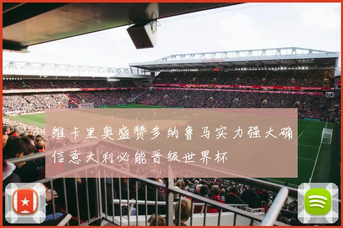 维卡里奥盛赞多纳鲁马实力强大确信意大利必能晋级世界杯
