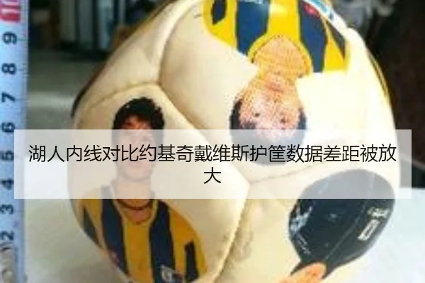 湖人内线对比约基奇戴维斯护筐数据差距被放大